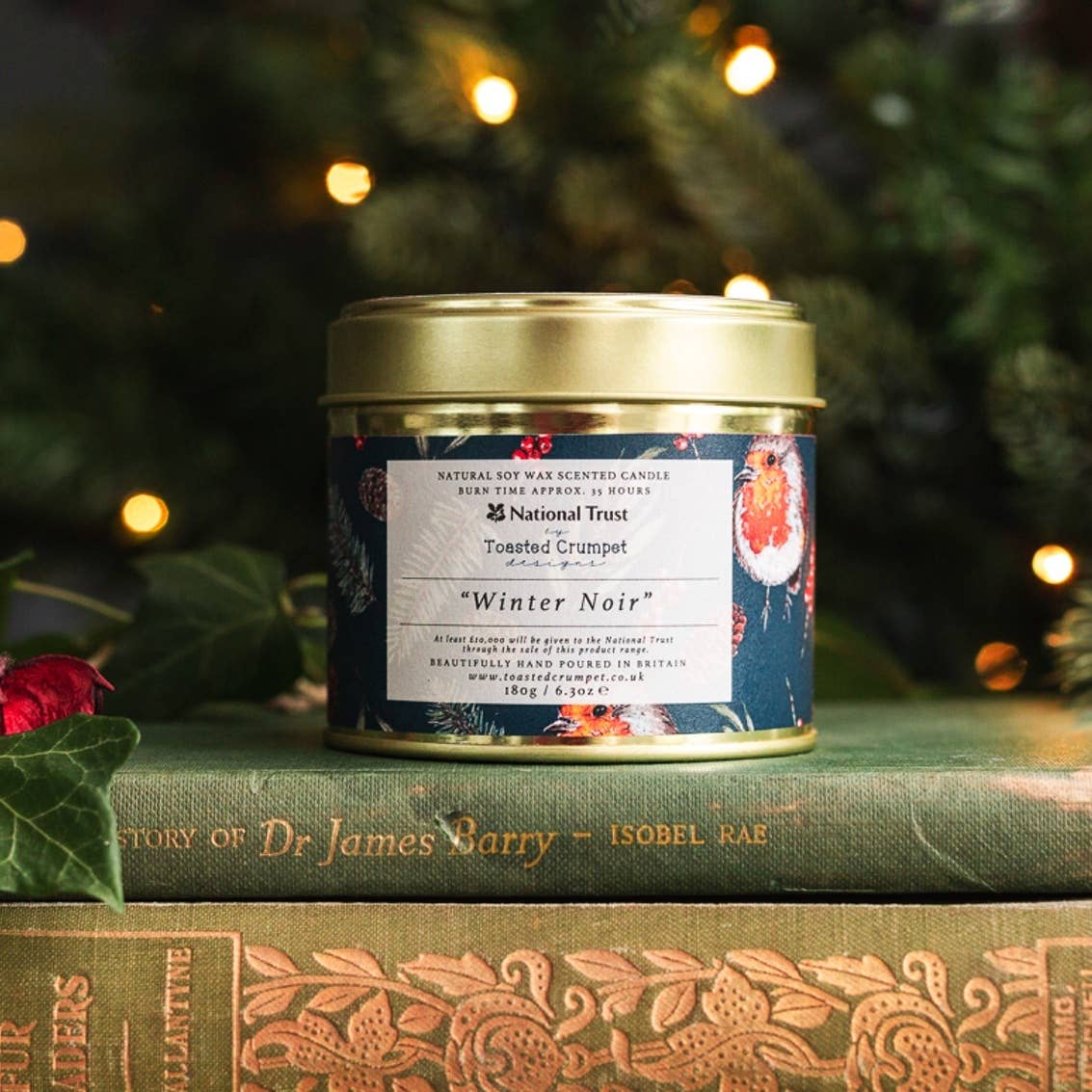 Winter Noir Candle in a Matt Gold Tin