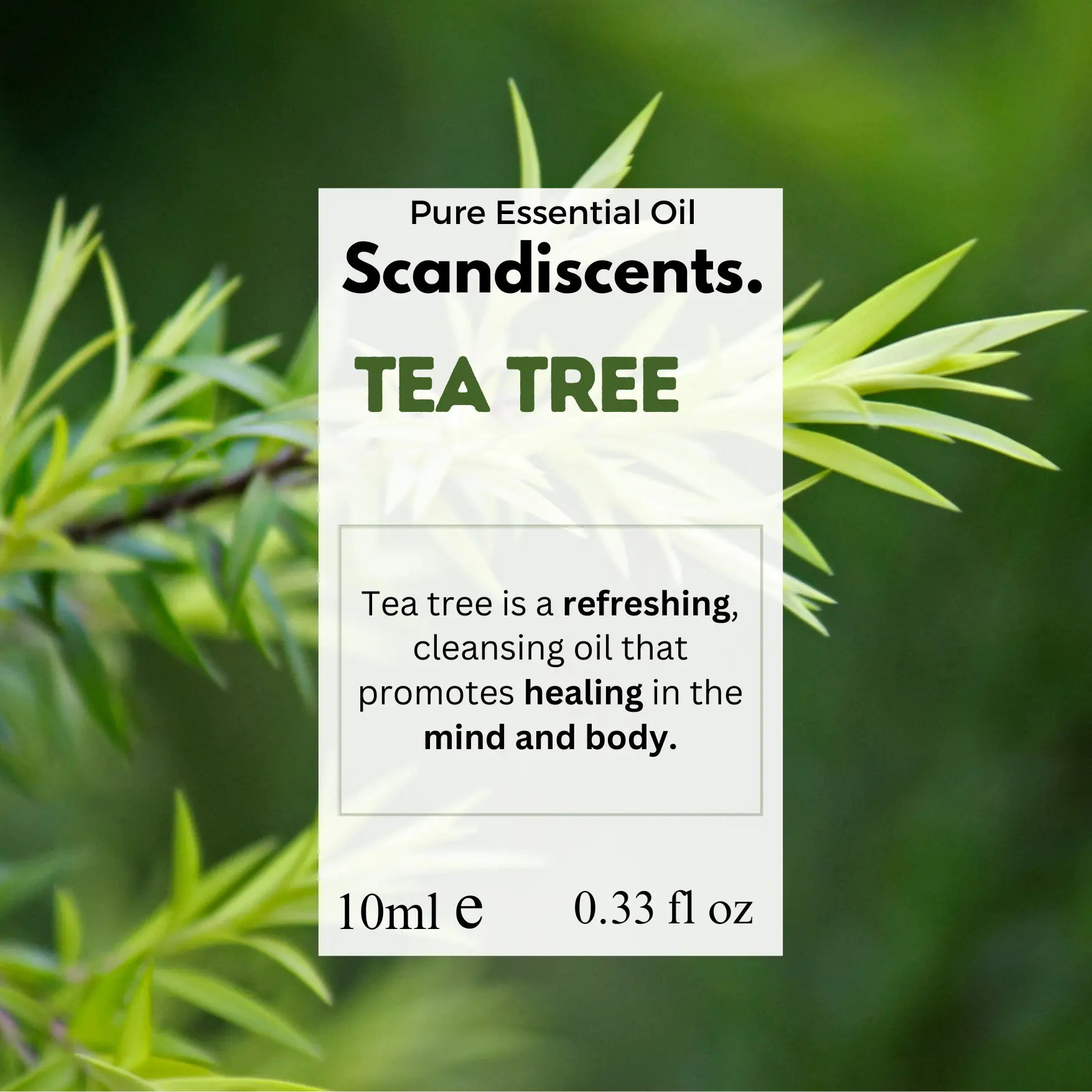 Tea Tree Scandiscents