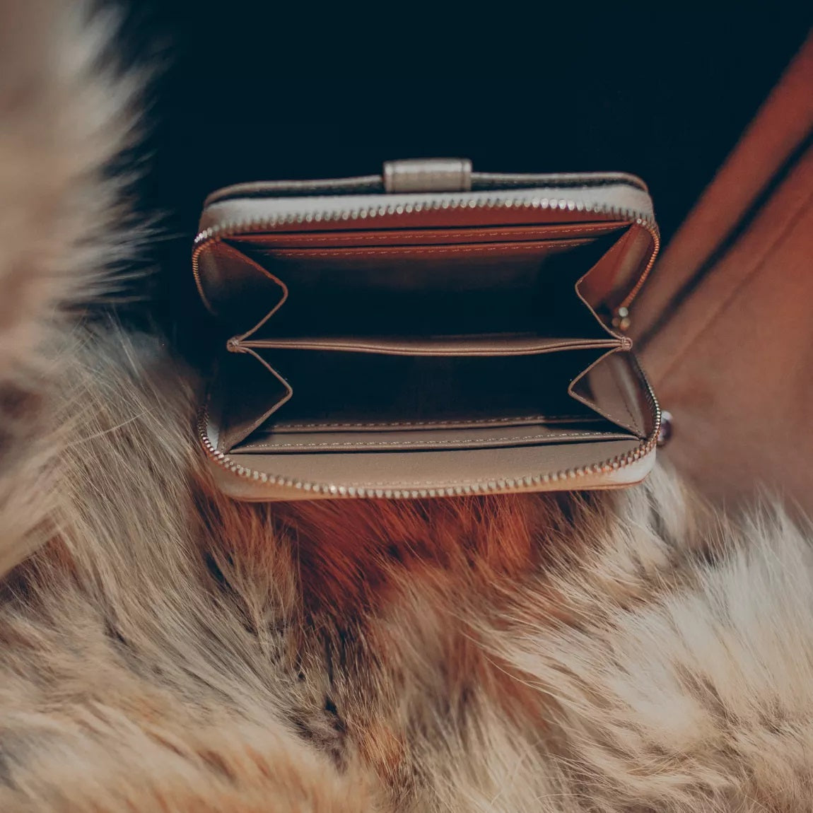 VAULTSKIN BELGRAVIA Zipper Wallet with RFID Blocking (Champagne)