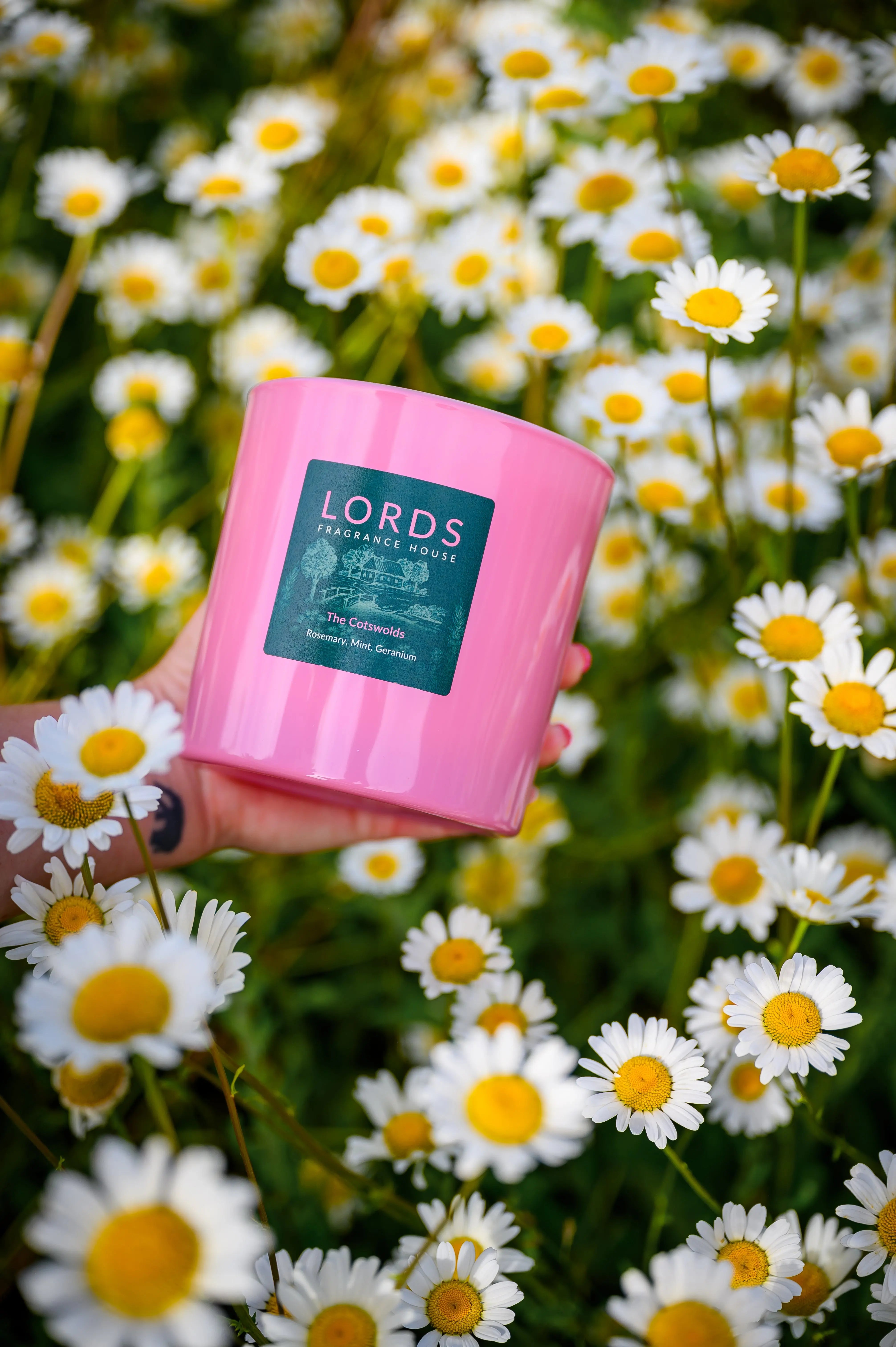 The Cotswolds 3 Wick Candle LORDS Fragrance House