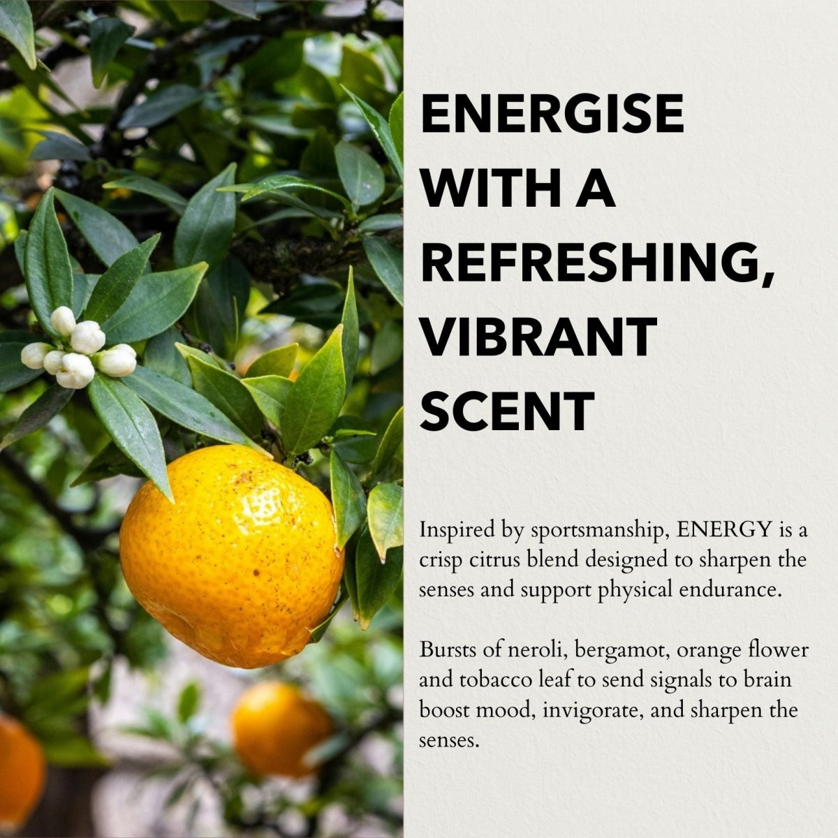 Energy Eau de Parfum | Travel 10ml