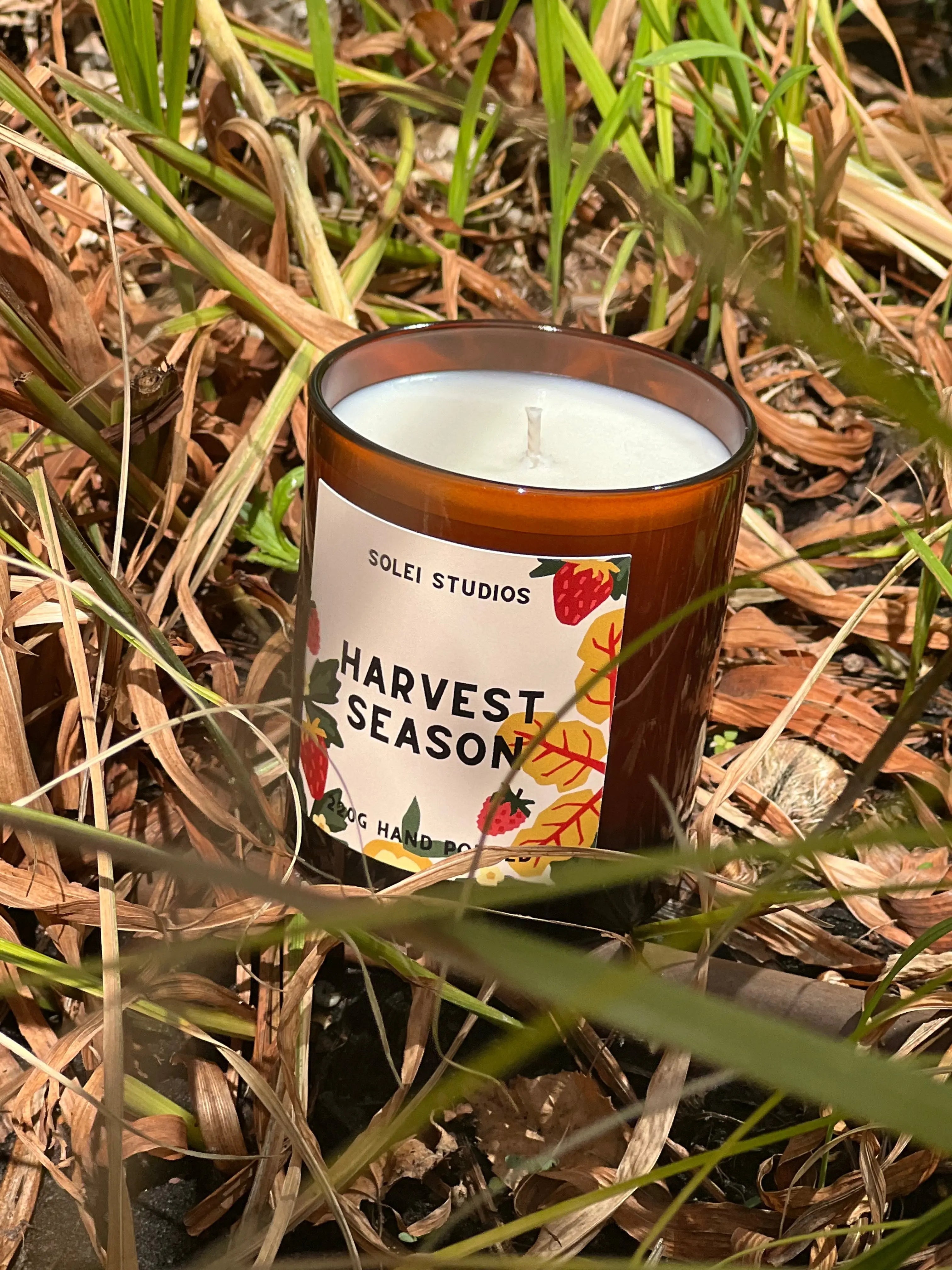 Harvest Season Solei Studios