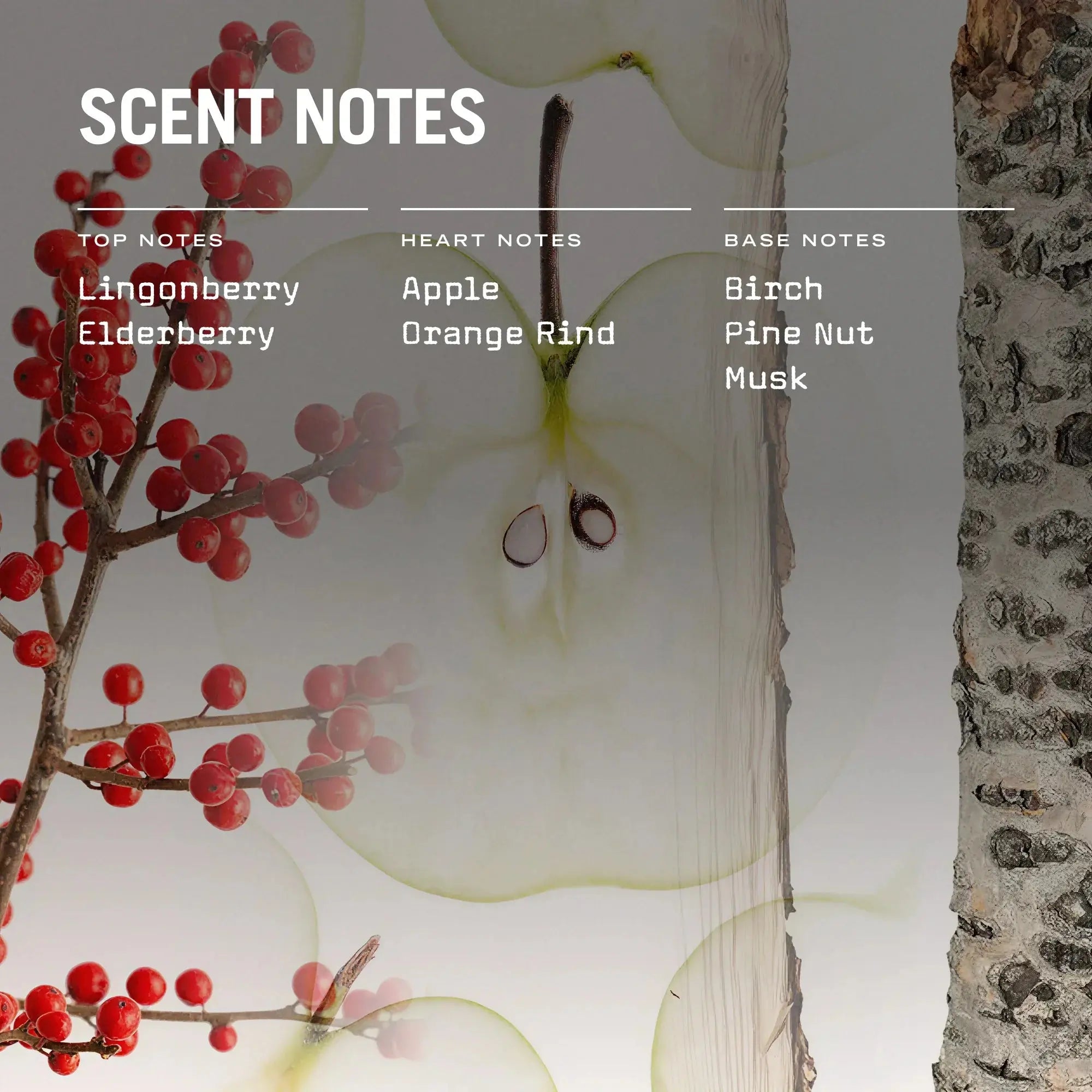 Lingonberry 100ml Reed Diffuser Russell + White