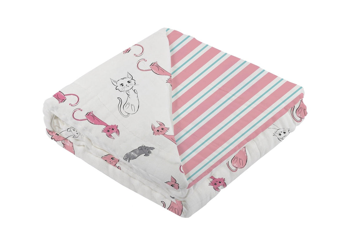 Playful Kitty and Candy Stripe Newcastle Blanket