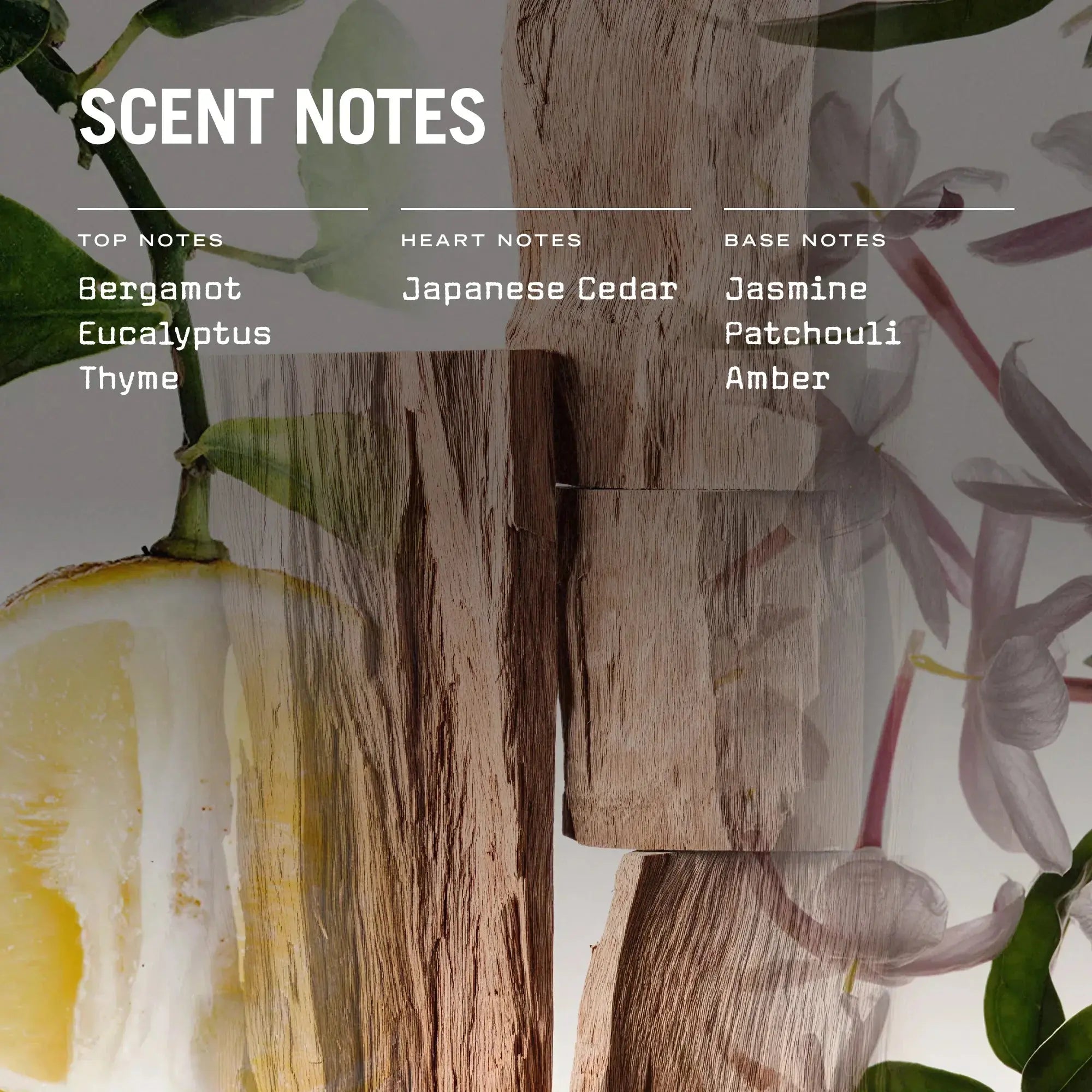 Sugi 250g Scented Soy Candle Refill