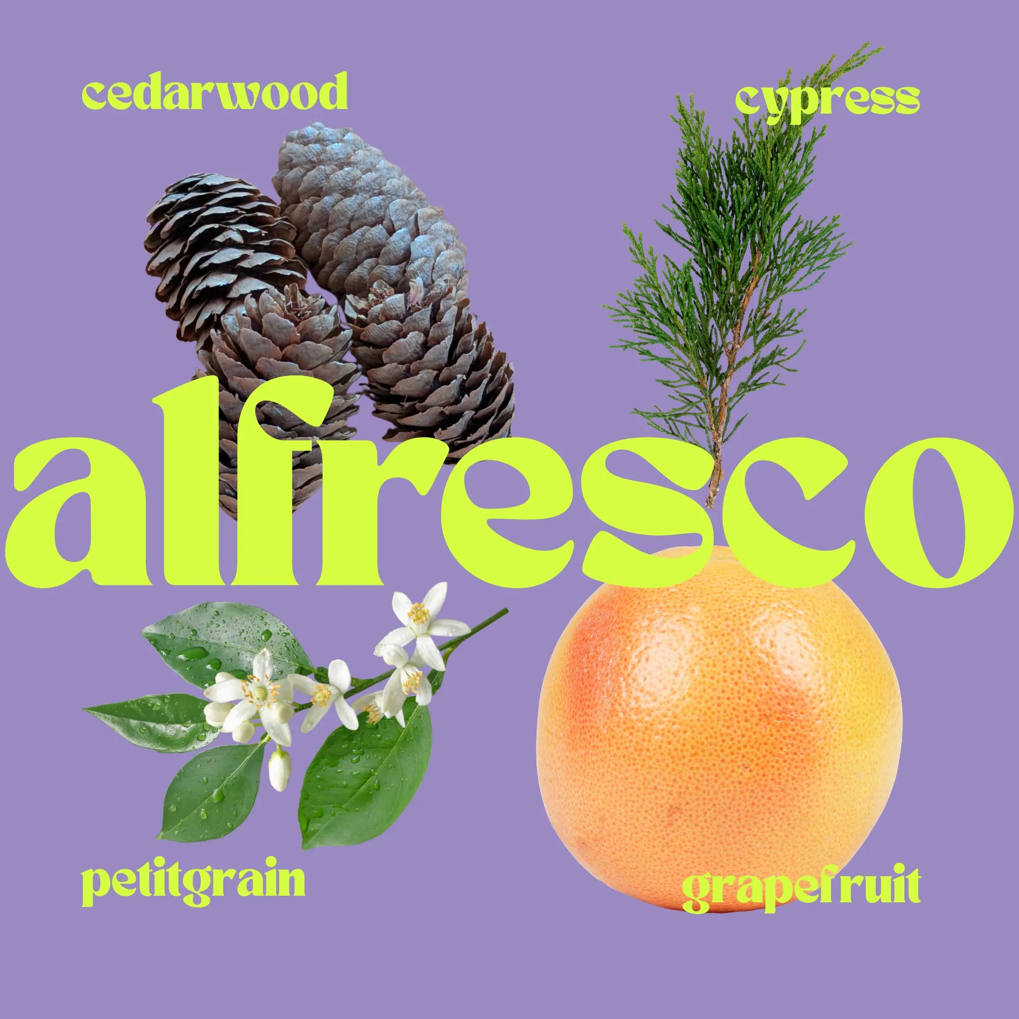 ALFRESCO diffuser refill Airo