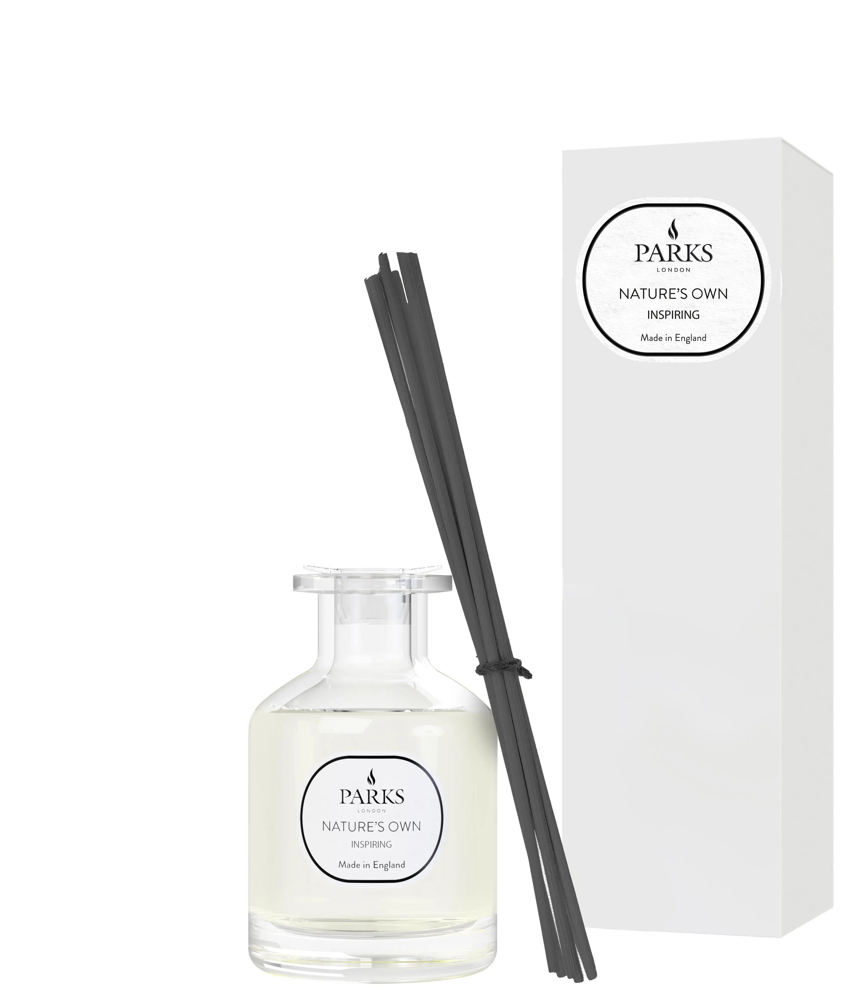 Inspiring Reed Diffuser — 100ml Parks Candles
