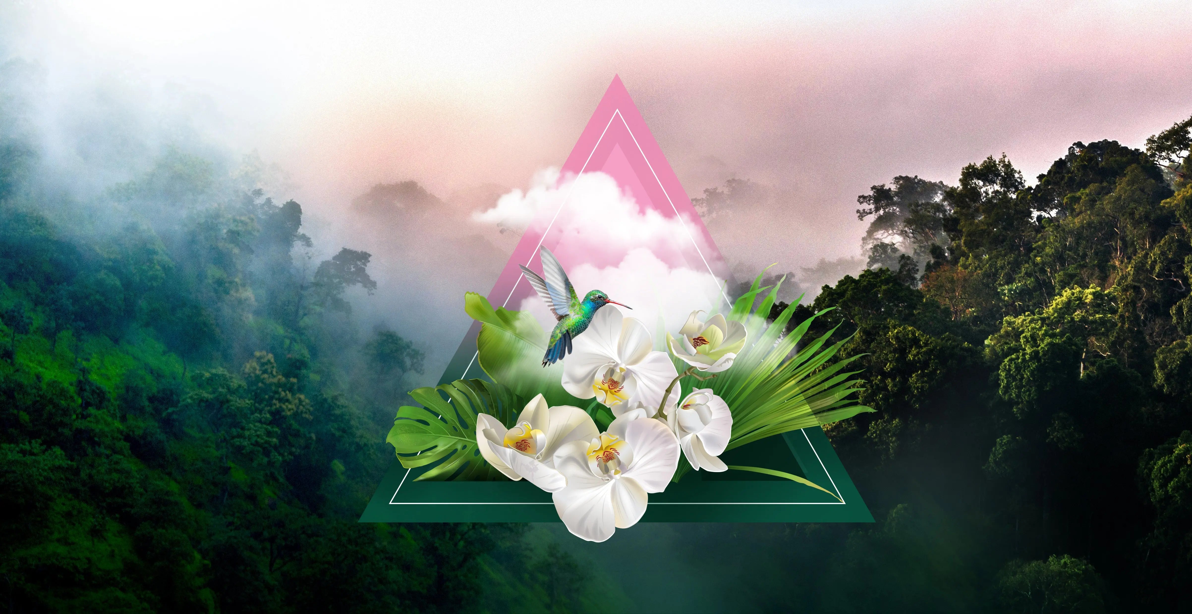 Monteverde Fragrance Oil