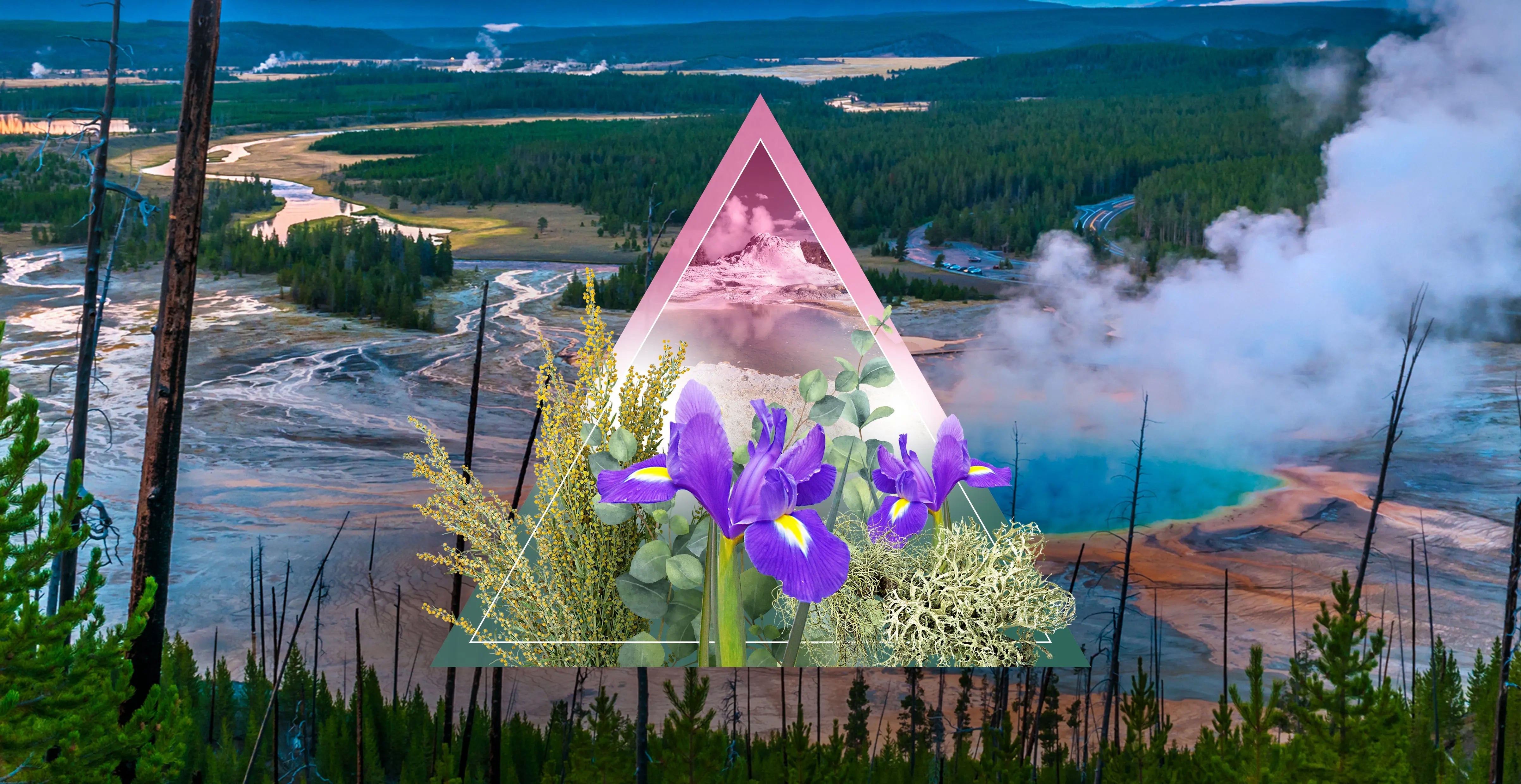 Yellowstone Fragrance Oil LORDS Fragrance House