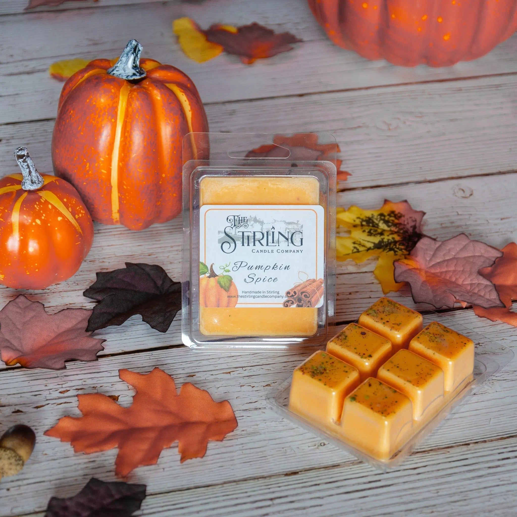 Pumpkin Spice – Wax Melt Clamshell