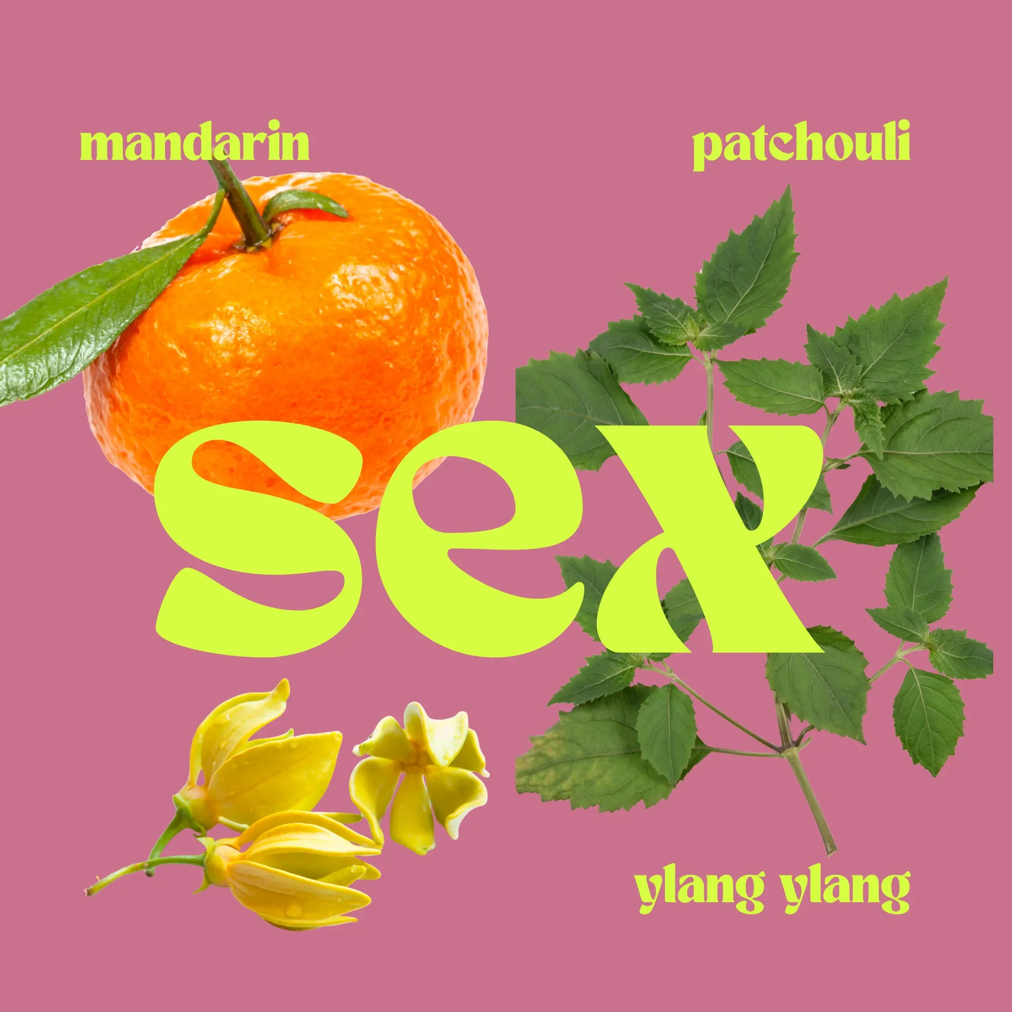 SEX: The Seductive Candle Airo
