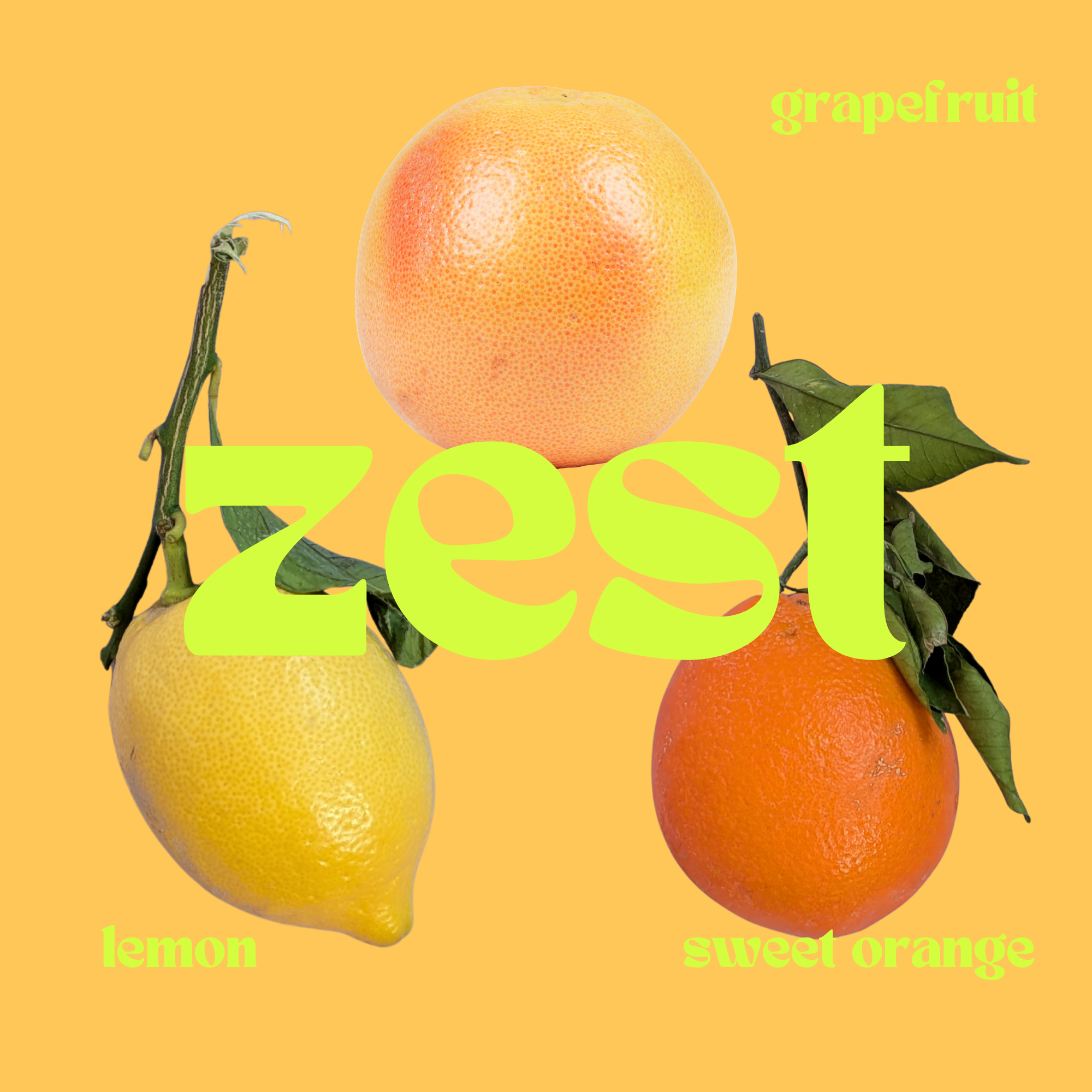 The Get Fresh Set
