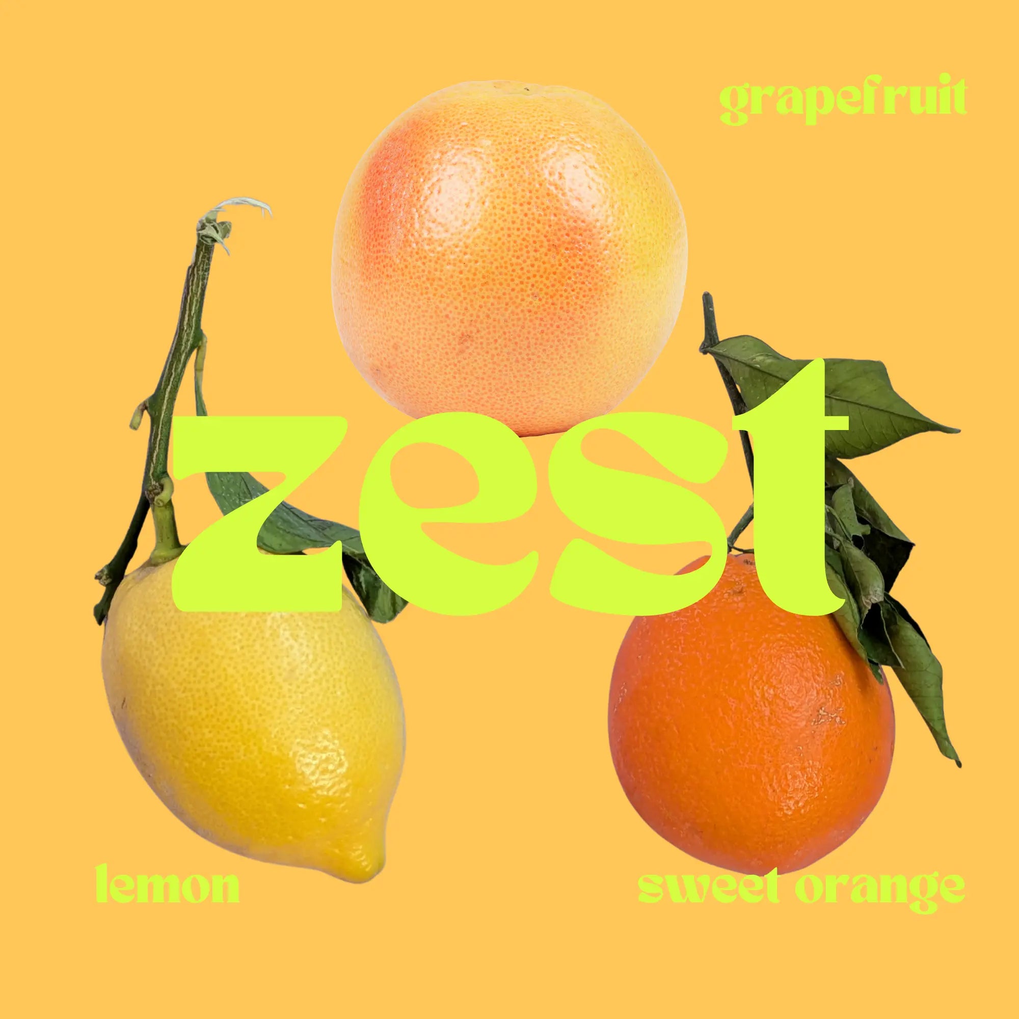 ZEST Loo Drops: Toilet Deodoriser Airo