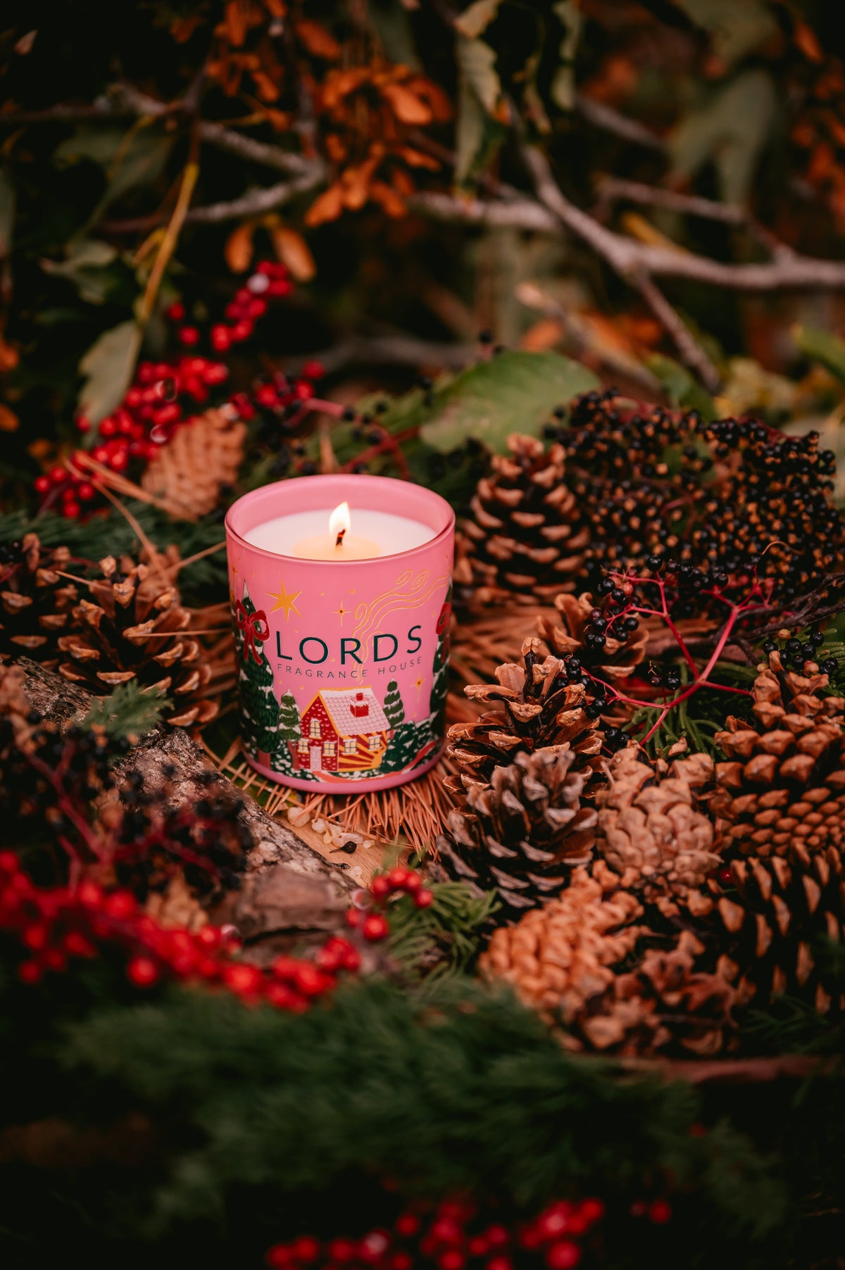 Abernethy Forest | Pine, Peppermint & Cedarwood Winter Scented Candle | 1 wick