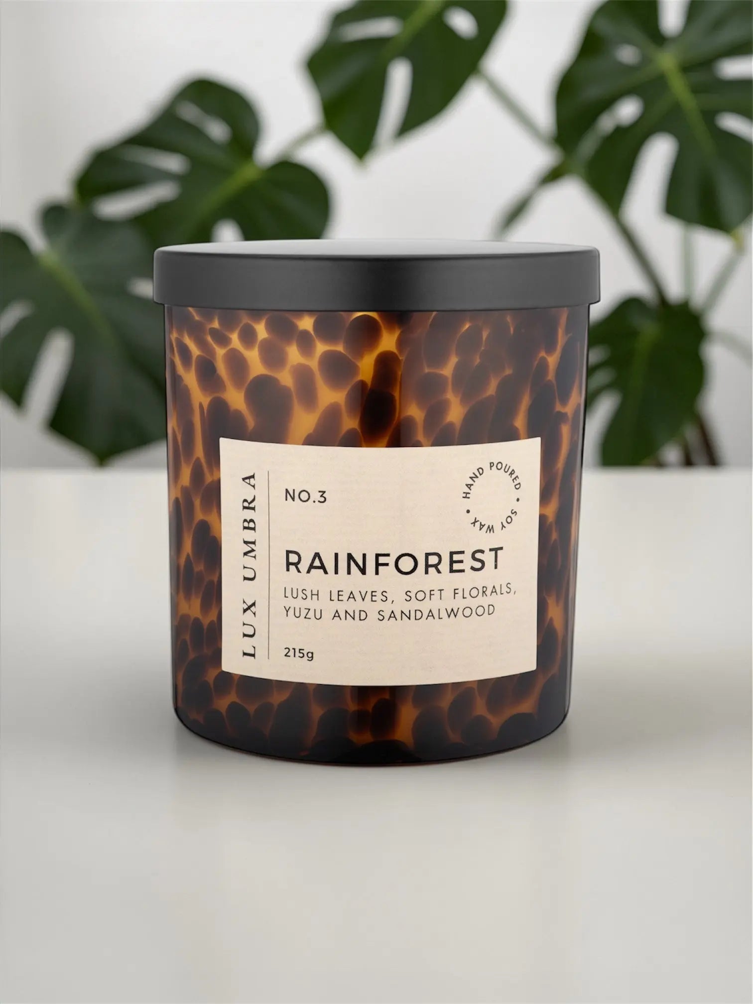 • RAINFOREST • botanical & vibrant Lux Umbra